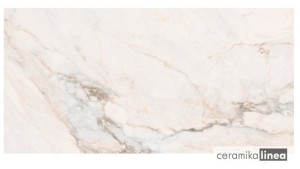 Pp PISA GOLD LUX PUL 120X60 G.1 PS PAMESA 