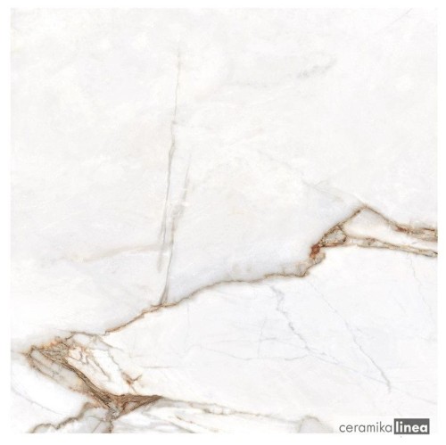 BALMA GOLD LAPPATO  80X80.jpg