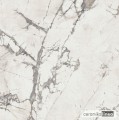 PF60004199.jpg