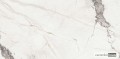 PF60004204.jpg