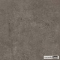 PF60002450.jpg