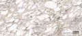 BIANCO VAGLI 60x120.jpg