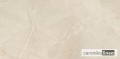 PULPIS IVORY 60x120 płyka.jpg