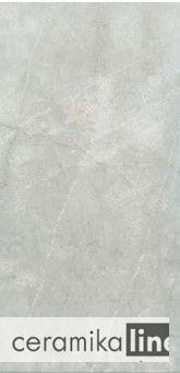 Mexicana silver 60x120.jpg