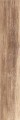 Shine beige 20x120.jpg