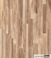 Shine beige ar.jpg