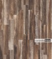 Shine walnut a.jpg