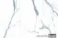 Statuario Bianco 60x120a.jpg
