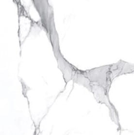 Statuario Bianco 60x60.jpg