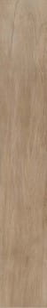 Antique Clay 20x120.jpg