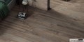 Othello Brown 20x120 aranżacja 2.jpg