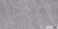 Greystone Argent 60x120.jpg