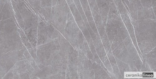 Greystone Argent 60x120.jpg