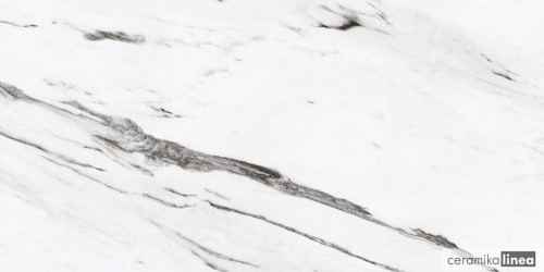 Statuario Plus 60x120.jpg
