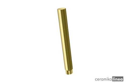 Experience Gold Słuchawka prysznicowa złota SP4EGD.jpg