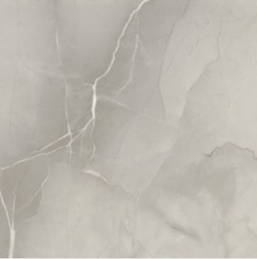 Passion Lux Grey 60x60.jpg